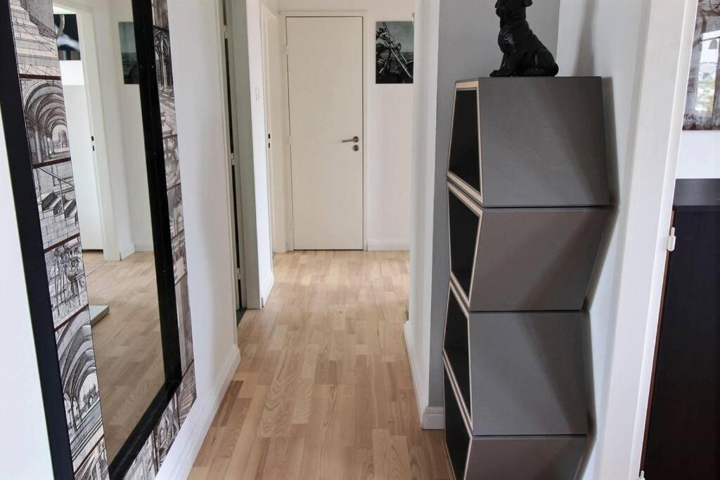 3 Pieces En Plein Centre De Strasbourg Apartment ภายนอก รูปภาพ